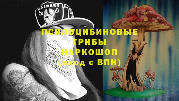 а пвп мука Липки