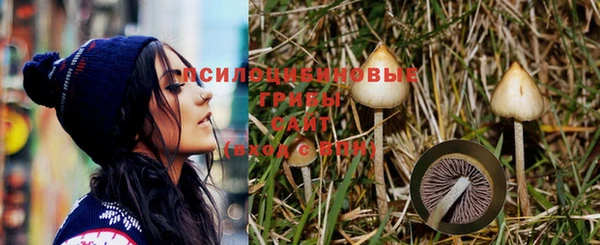 прущие крисы Лиски