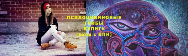 а пвп мука Липки